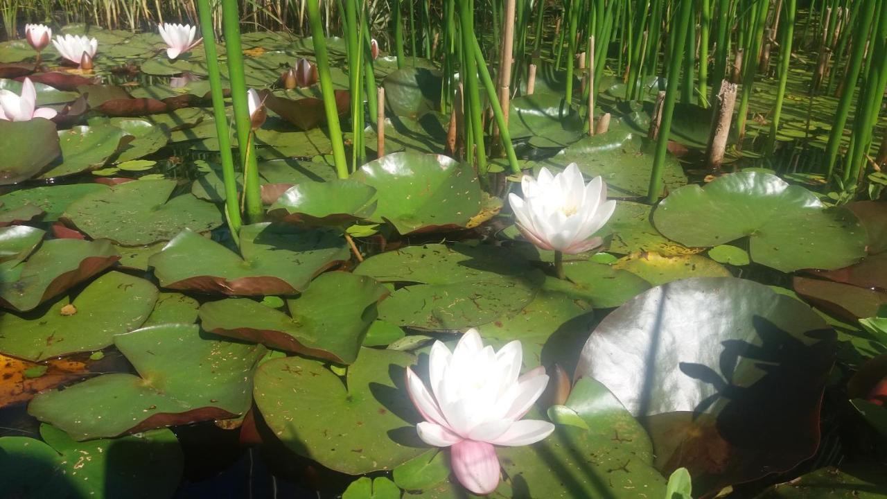 "Un Matin Au Jardin" Bed & Breakfast Francorchamps Ngoại thất bức ảnh